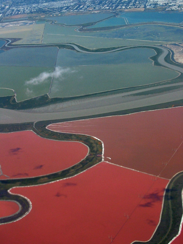 Marais salins au sud de la baie de San Francisco