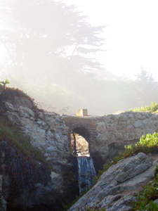 Source dans le brouillard