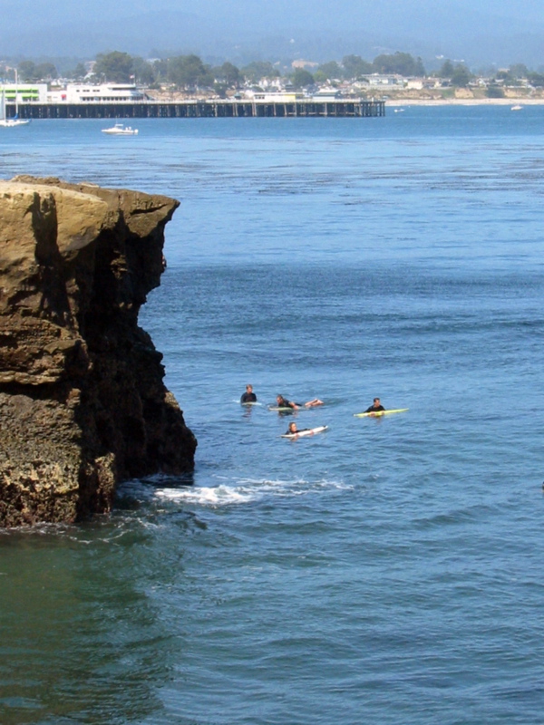 Ils attirent les surfers aussi