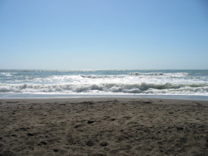 Les vagues, toujours impressionnantes !