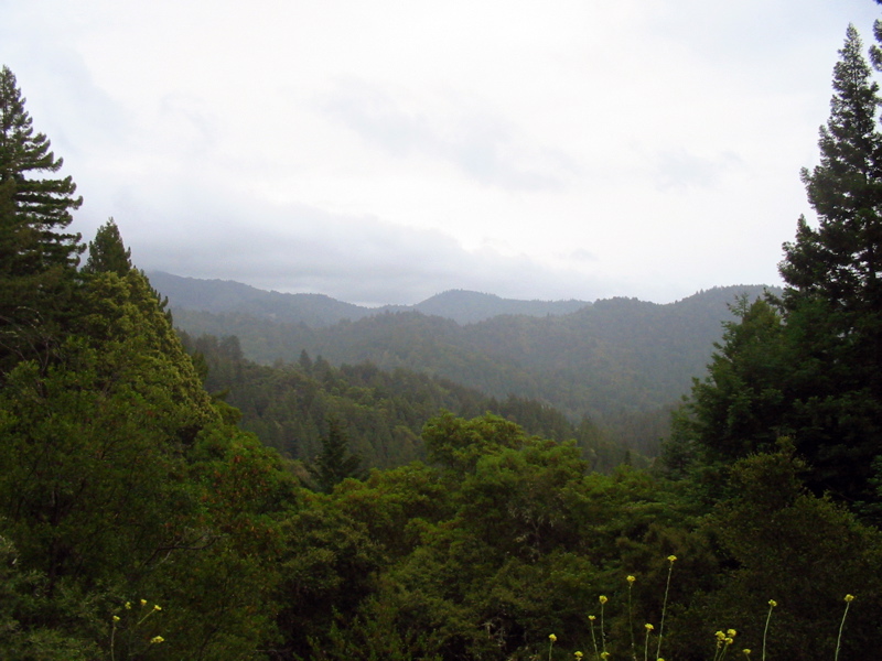 Point de vue sur la montagne