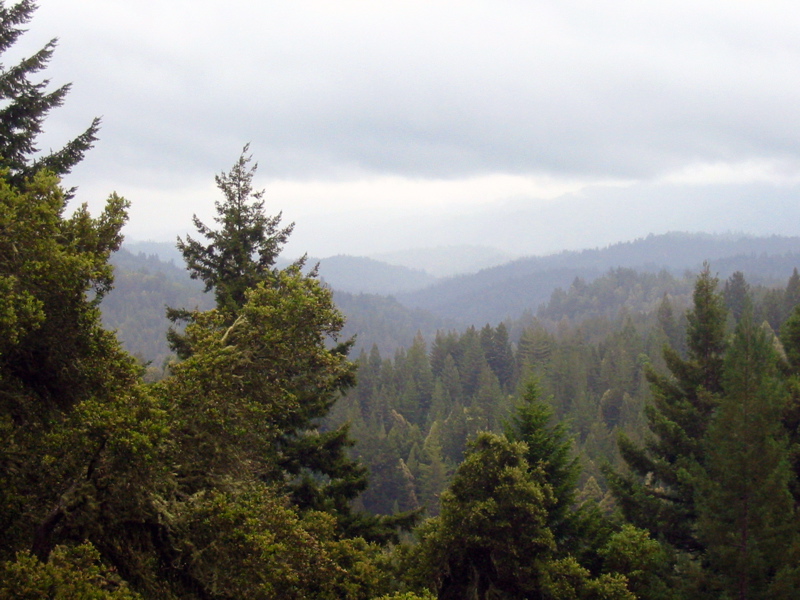 Point de vue sur la montagne
