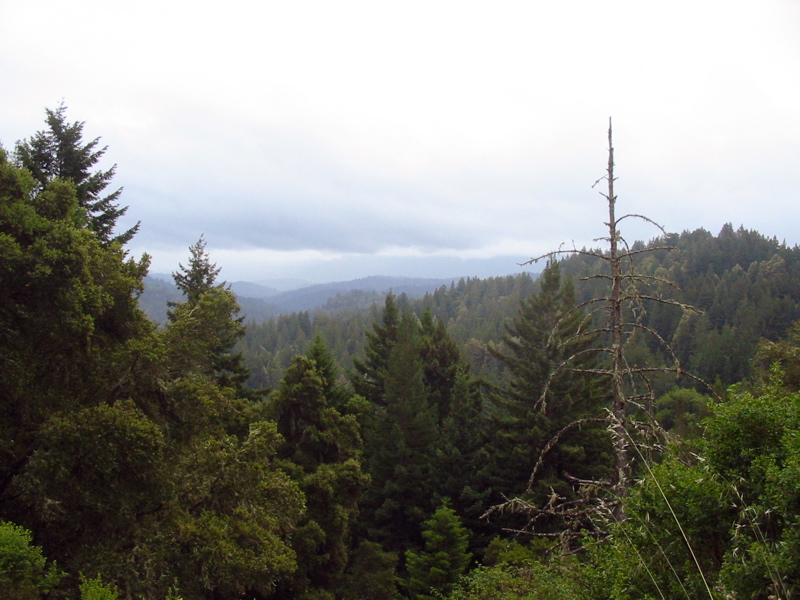 Point de vue sur la montagne