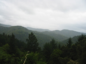 Point de vue sur la montagne