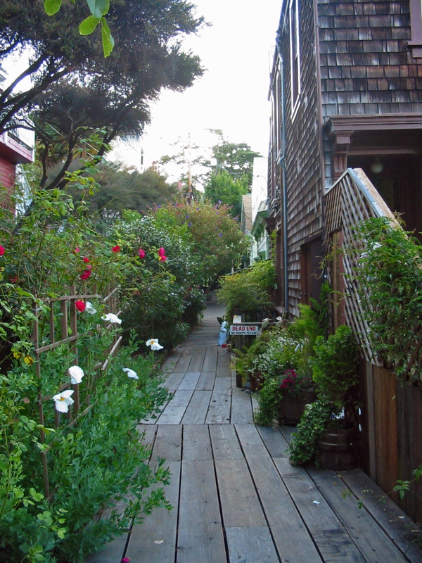 Napier Lane