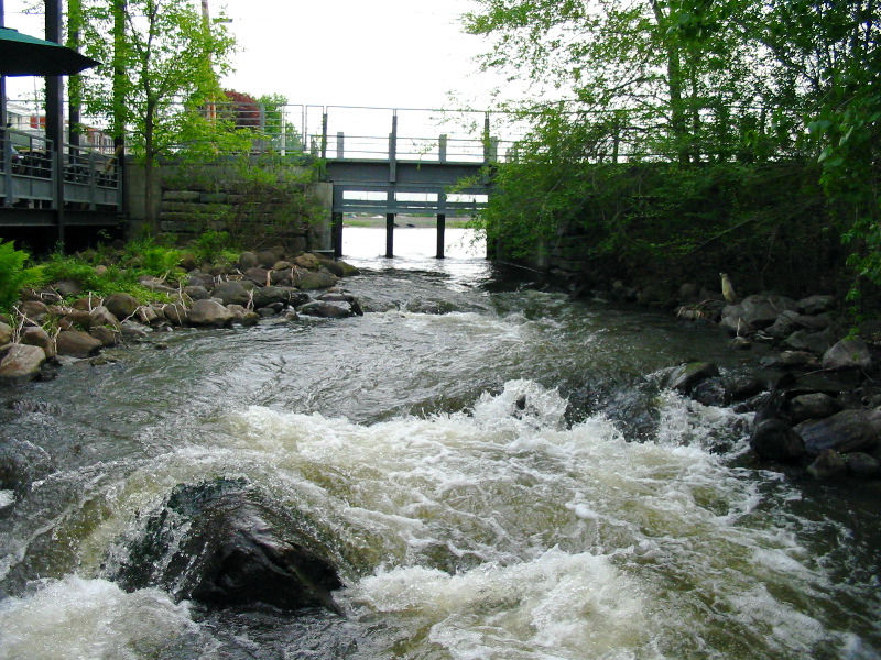 Chute avec un h&eacute;ron &agrave; droite.