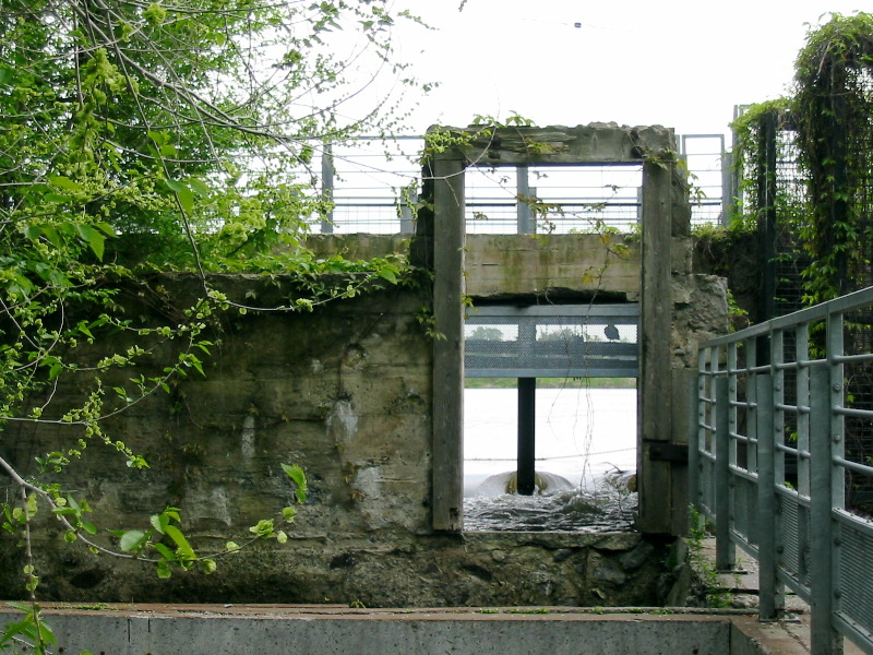 D&eacute;but des vestiges de l'ancien moulin &agrave; eau. Une porte sur l'histoire.