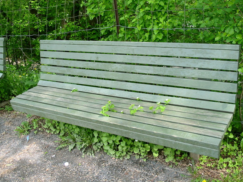 Banc avec petites fleurs.